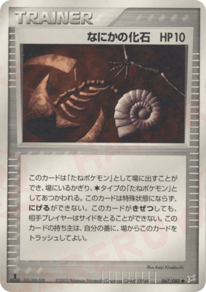 Mysterious Fossil