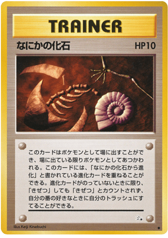 Mysterious Fossil