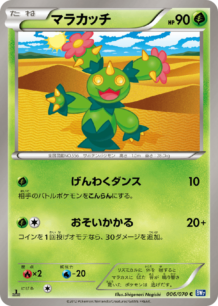 Maractus