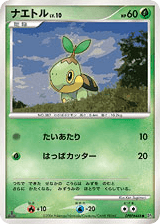 Turtwig