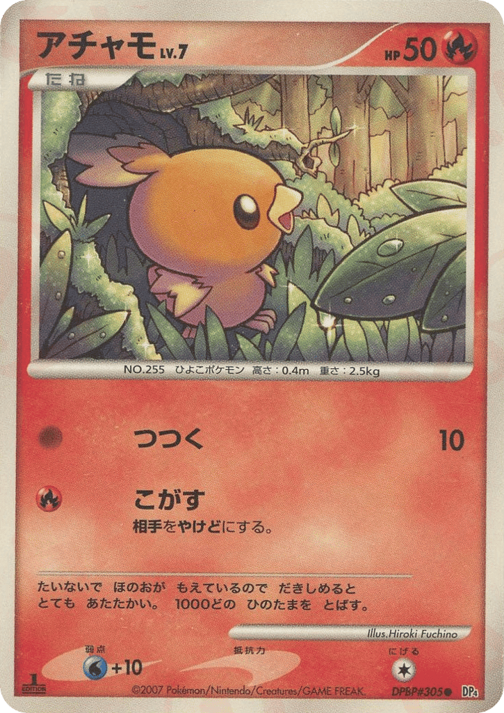 Torchic