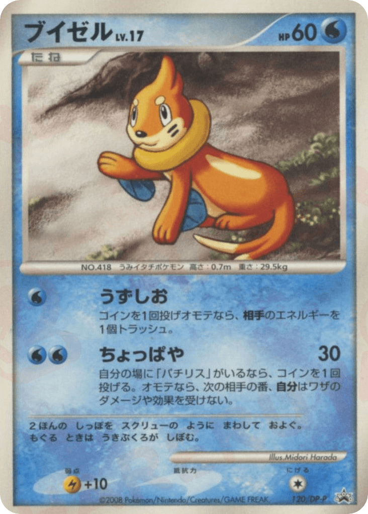 Buizel