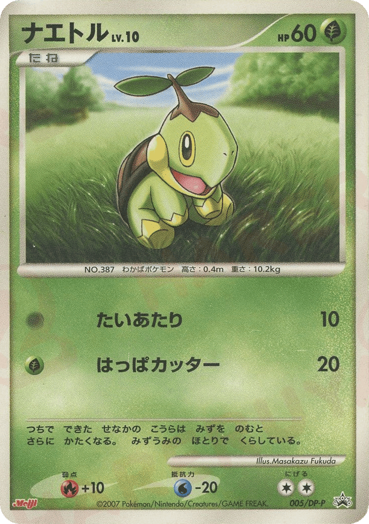 Turtwig