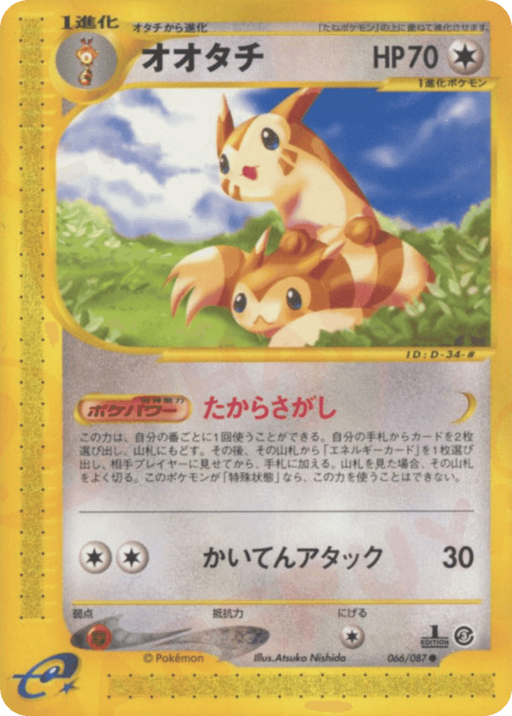 Furret