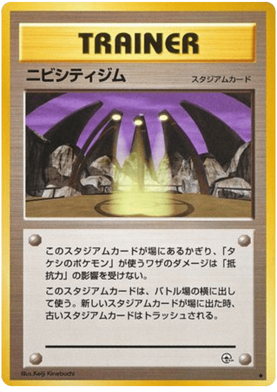 Pewter City Gym