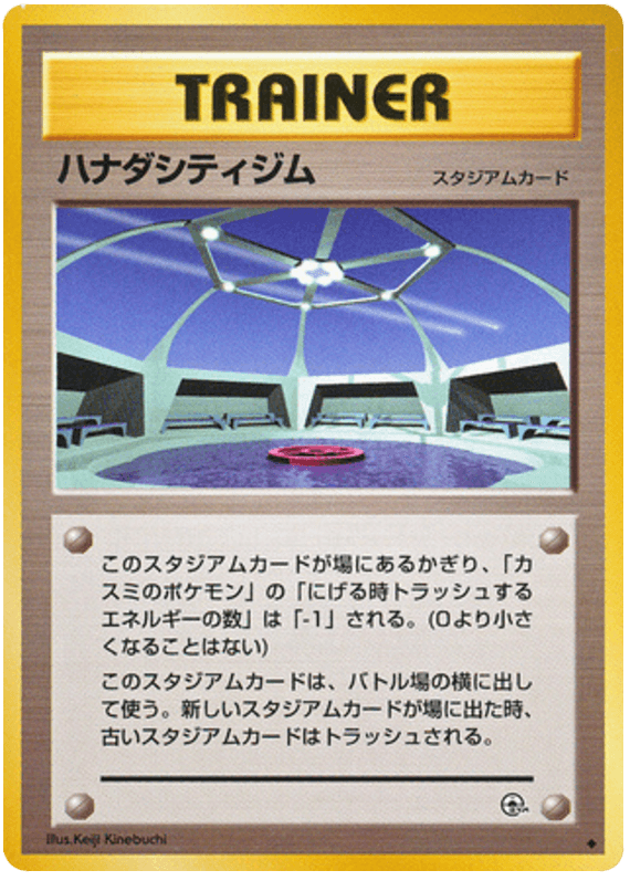 Cerulean City Gym