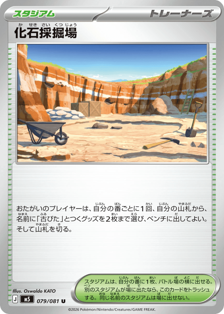 Fossil Excavation Site