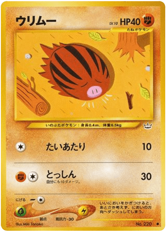 Swinub