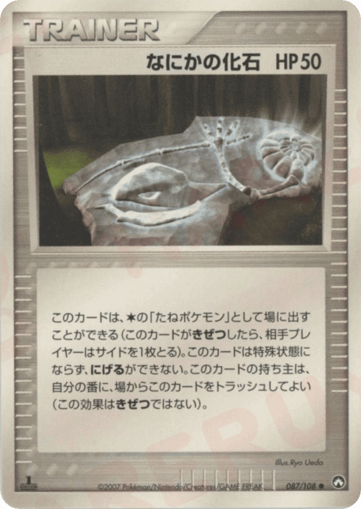 Mysterious Fossil