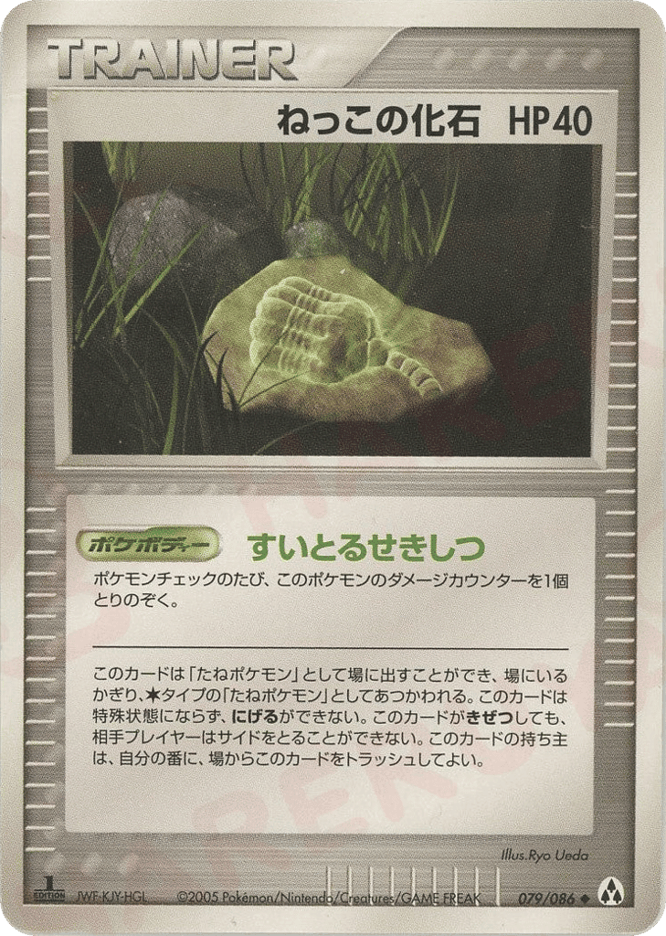 Root Fossil