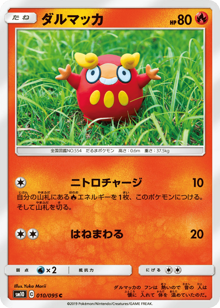 Darumaka