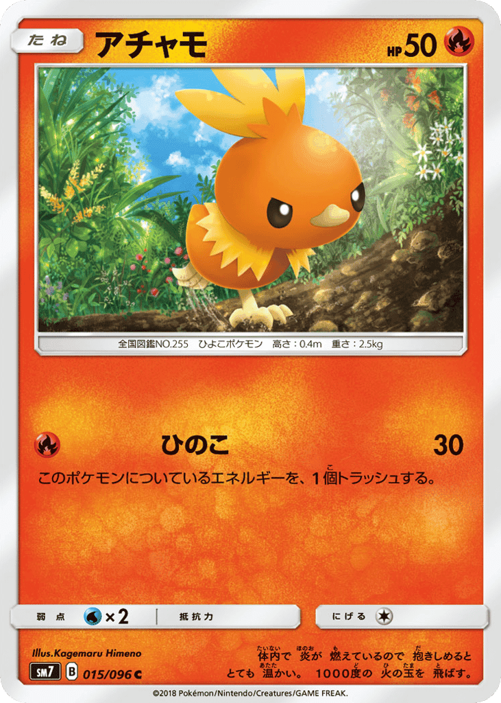 Torchic