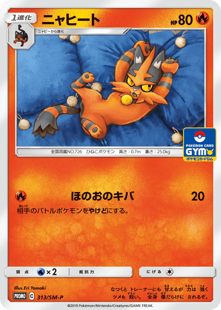 Torracat