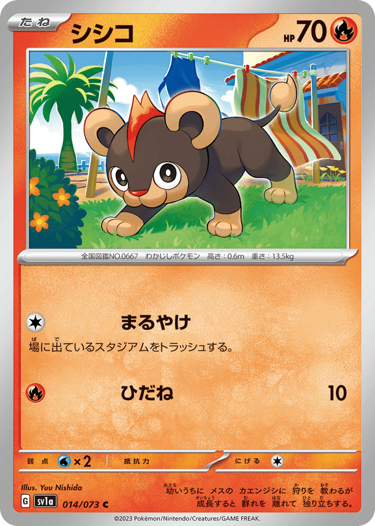 Litleo