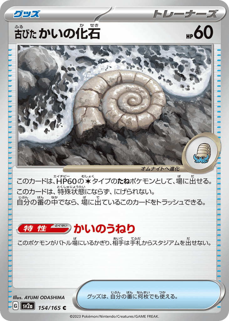 Antique Helix Fossil