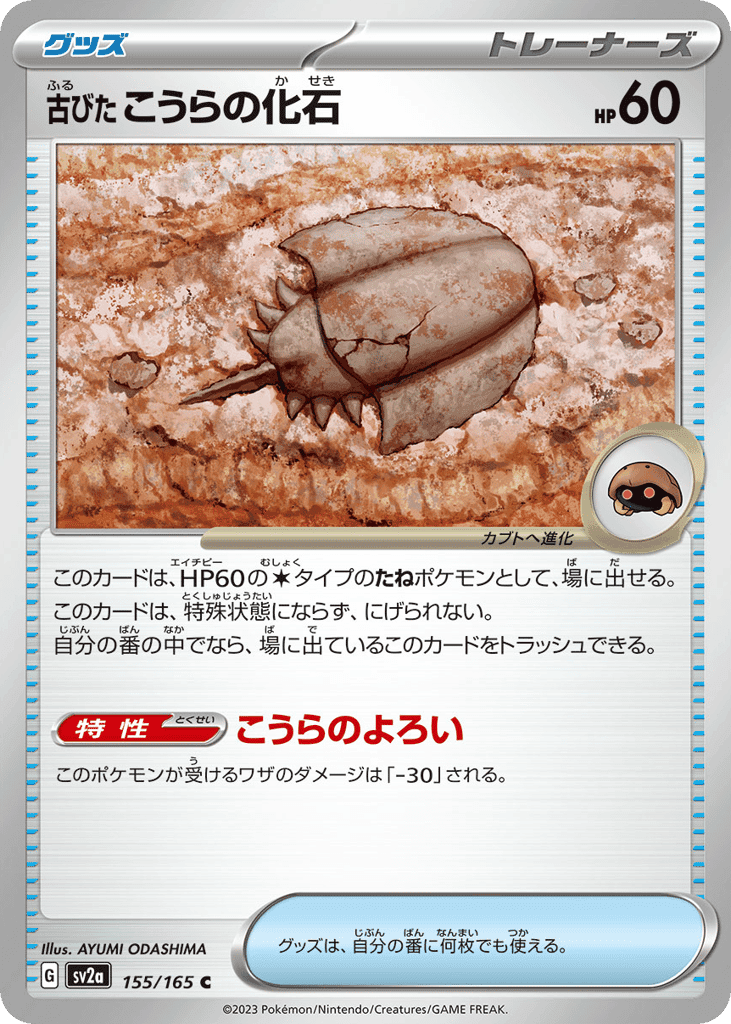 Antique Dome Fossil