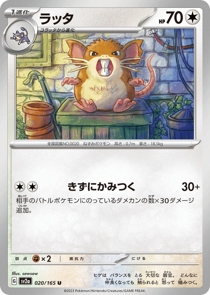Raticate