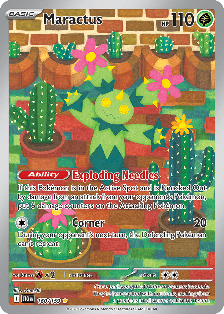 Maractus