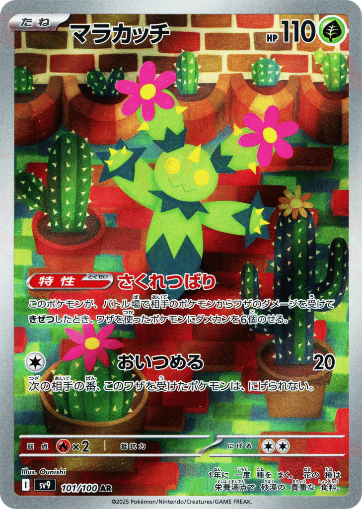 Maractus