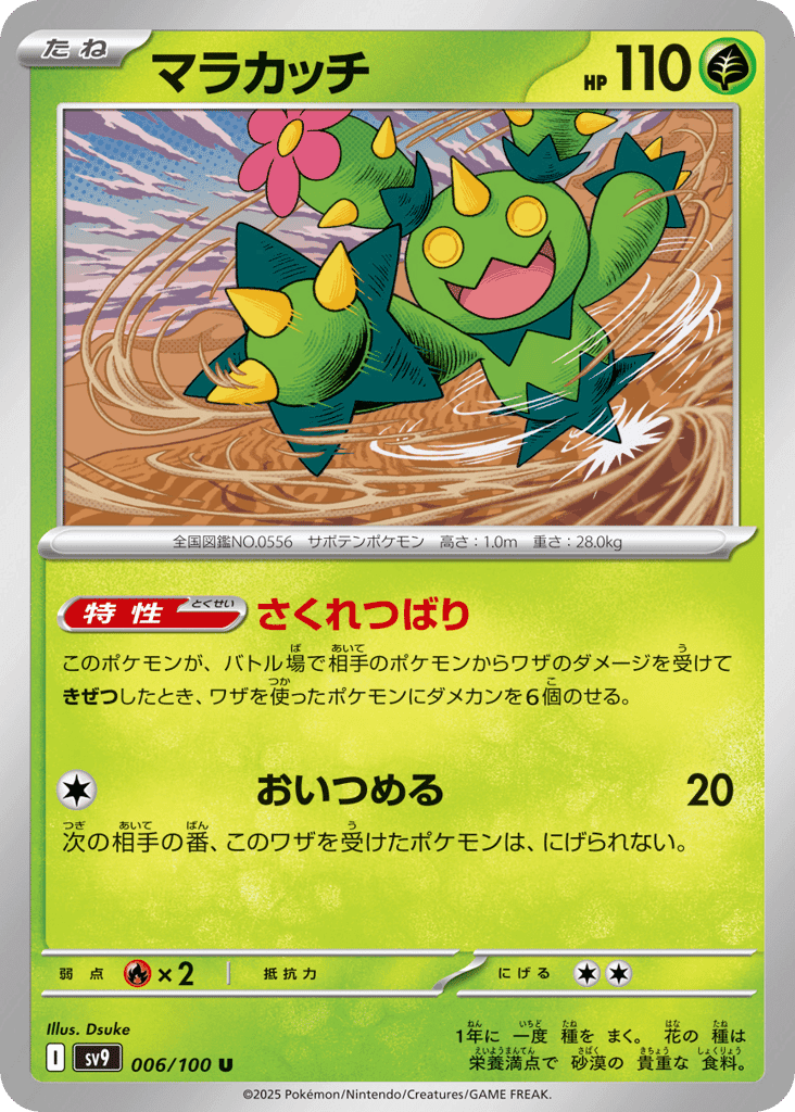 Maractus