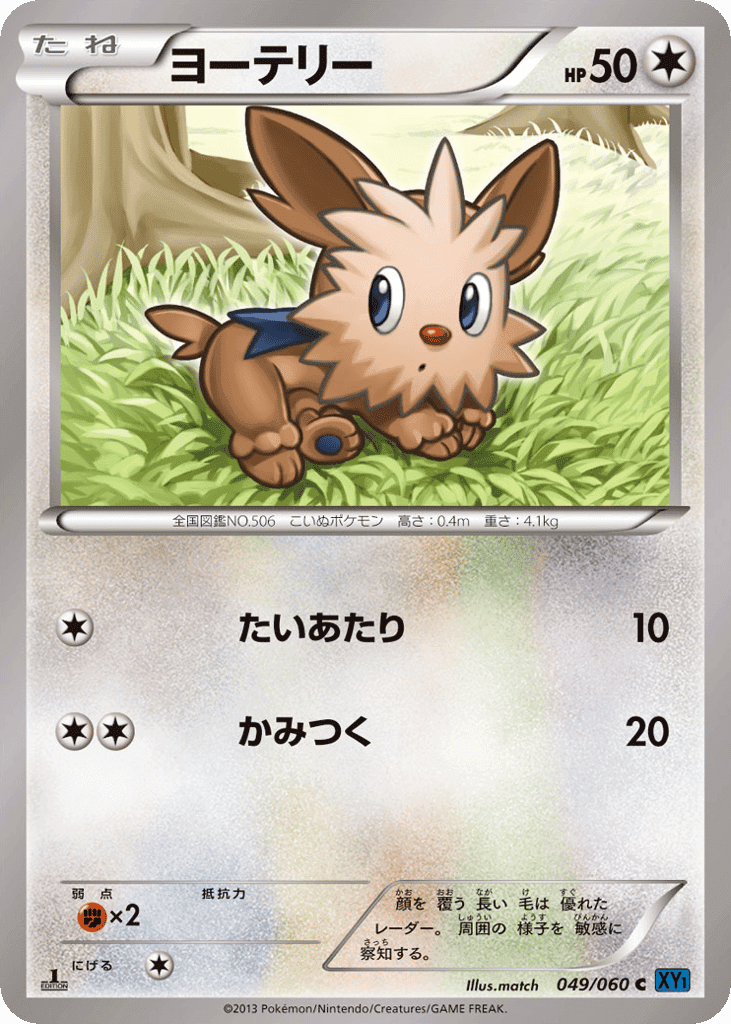 Lillipup
