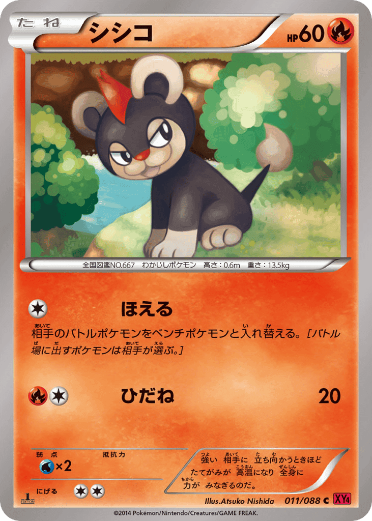 Litleo