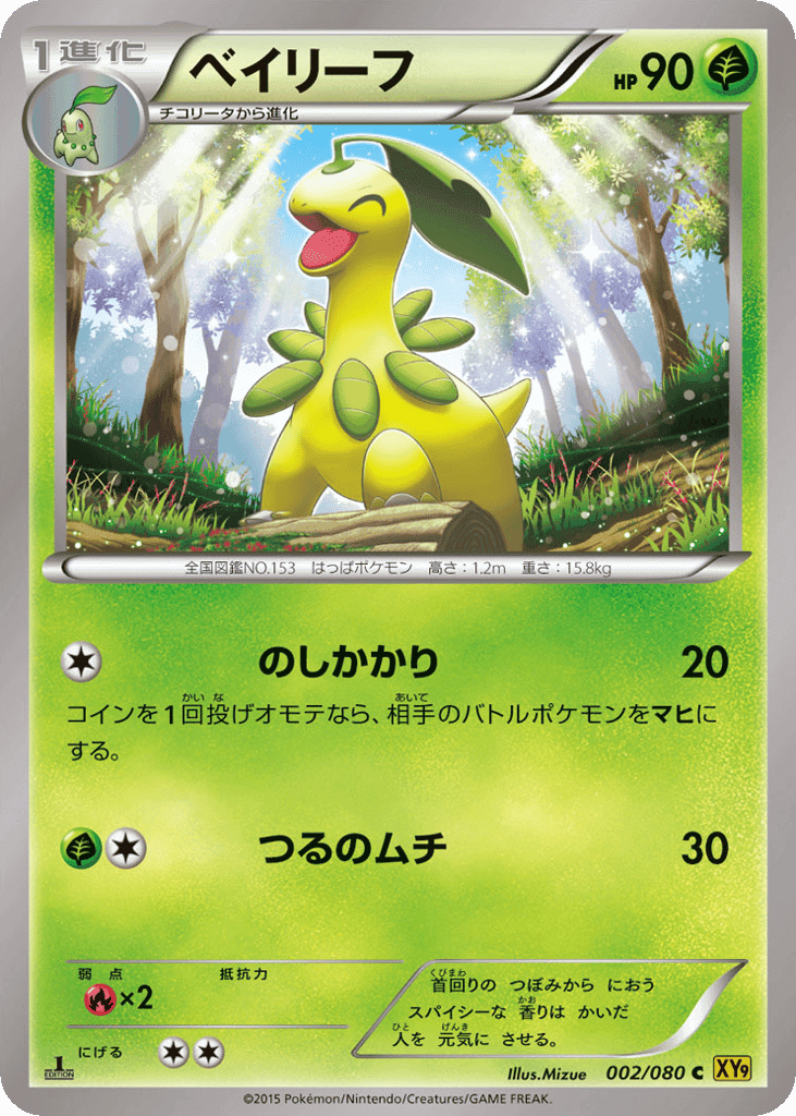 Bayleef